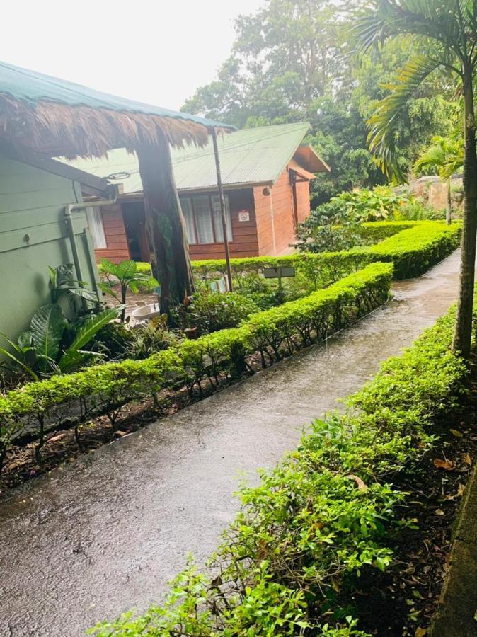 Hotel Quetzal Inn Monteverde Eksteriør bilde